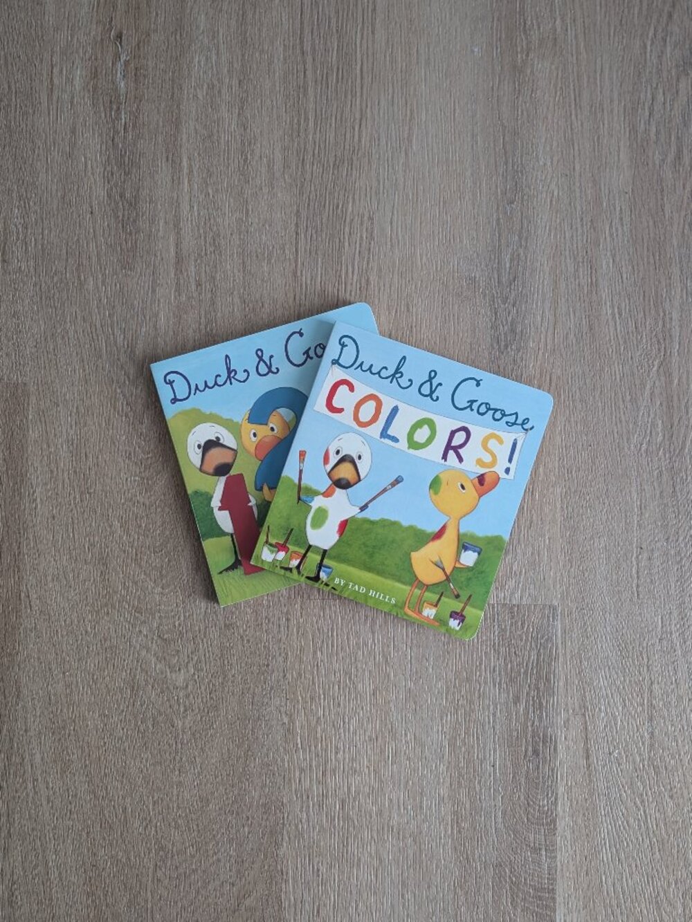 Duck & Goose, 1, 2, 3 + Duck & Goose Colors by Tad Hills